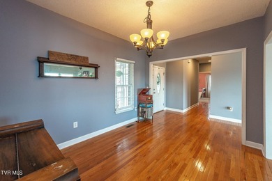 Welcome to 179 Cindy Anne Dr in Gray, TN, a well-maintained - photo 10