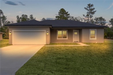 Lake Home For Sale in Ocklawaha, Florida