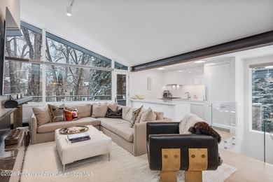 Settle into the Aspen lifestyle from this inviting three-bedroom - photo 4