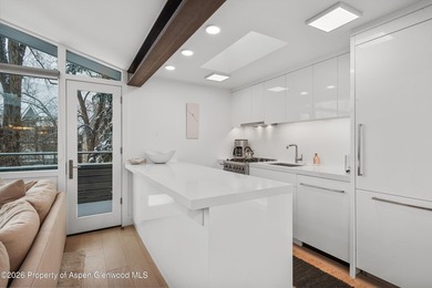 Settle into the Aspen lifestyle from this inviting three-bedroom - photo 7