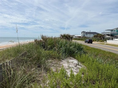 Own Your Own Slice Of Paradise - 50 Feet Of DIRECT OCEAN - photo 11