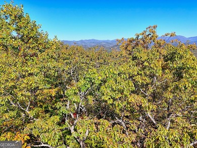 Nestled on beloved Charlie Mountain, this 2.41-acre lot on - photo 12