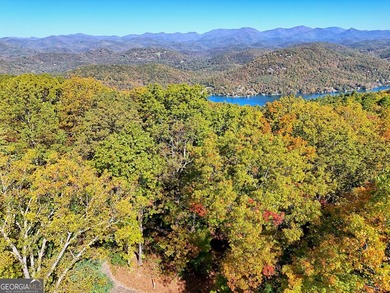 Nestled on beloved Charlie Mountain, this 2.41-acre lot on - photo 15