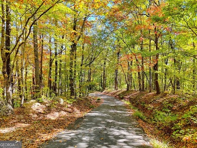 Nestled on beloved Charlie Mountain, this 2.41-acre lot on - photo 16