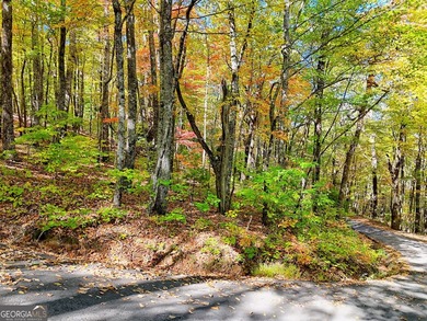 Nestled on beloved Charlie Mountain, this 2.41-acre lot on - photo 17