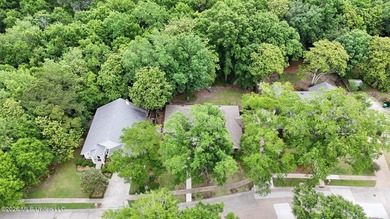 Tucked beneath mature trees in the highly sought-after Magnolia - photo 27