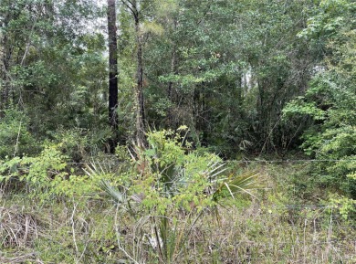Daisy Lake Lot For Sale in Deland Florida