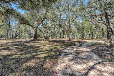 Discover a rare almost 10-acre waterfront parcel on Nolte Creek - photo 3