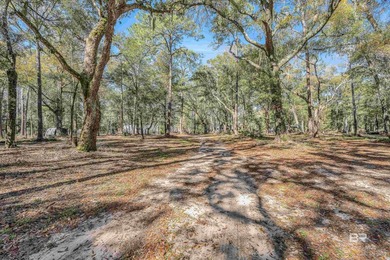 Discover a rare almost 10-acre waterfront parcel on Nolte Creek - photo 4