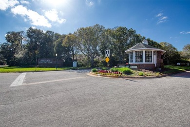 Under contract-accepting backup offers. Meticulously maintained - photo 46