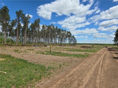 Lake Lot For Sale in Chetek, Wisconsin