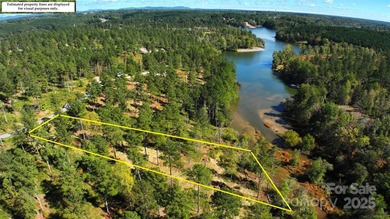 Welcome to Lakeside Reserve, where this 1.61 acre waterfront lot - photo 11