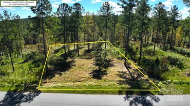 Welcome to Lakeside Reserve, where this 1.61 acre waterfront lot - photo 14
