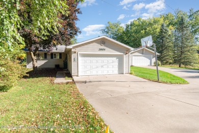 Lake Home For Sale in Farwell, Michigan