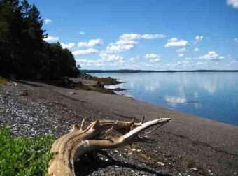 Atlantic Ocean - Cobscook Bay Acreage For Sale in Lubec Maine
