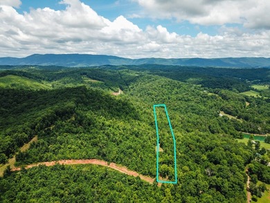 Introducing Lot 5 by Norris Lake in Union County, Tennessee: - photo 1