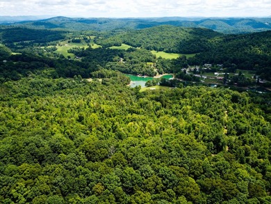 Introducing Lot 5 by Norris Lake in Union County, Tennessee: - photo 3