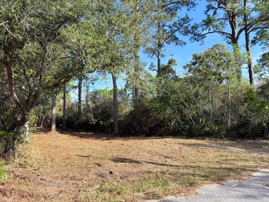 Build your dream coastal retreat on this prime vacant lot in the - photo 1