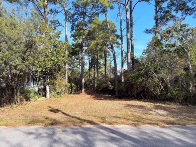 Build your dream coastal retreat on this prime vacant lot in the - photo 5