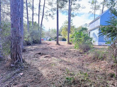 Build your dream coastal retreat on this prime vacant lot in the - photo 8