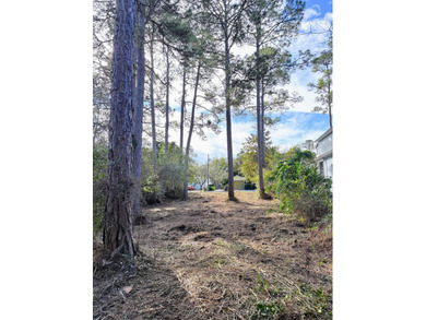 Build your dream coastal retreat on this prime vacant lot in the - photo 9