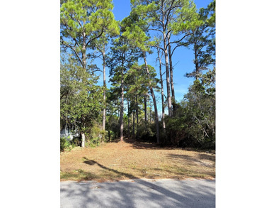 Build your dream coastal retreat on this prime vacant lot in the - photo 10