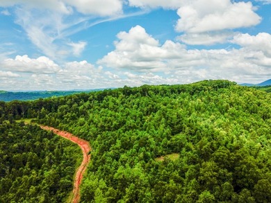 Introducing Lot 6 by Norris Lake in Union County, Tennessee: - photo 5