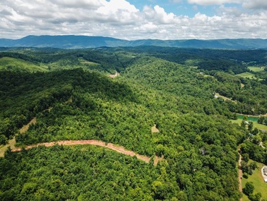 Introducing Lot 6 by Norris Lake in Union County, Tennessee: - photo 6