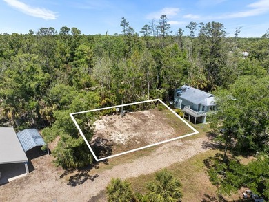 This rare opportunity in the heart of Steinhatchee features two - photo 26