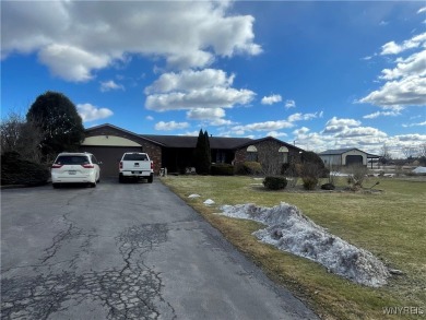 Lake Home For Sale in Pendleton, New York
