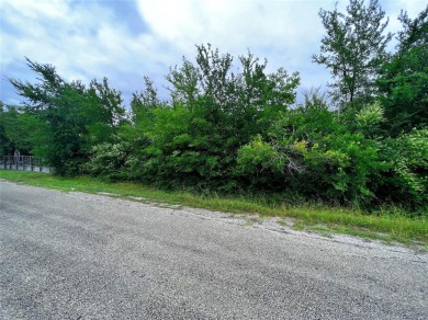 Lake Lot For Sale in Gordonville, Texas