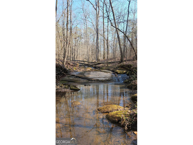 (private lake, pond, coastal) Acreage For Sale in Zebulon Georgia