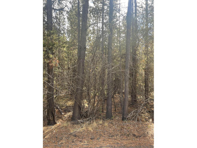 Deschutes River - Deschutes County Lot Sale Pending in Bend Oregon