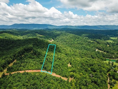 Introducing Lot 8 by Norris Lake in Union County, Tennessee: - photo 1