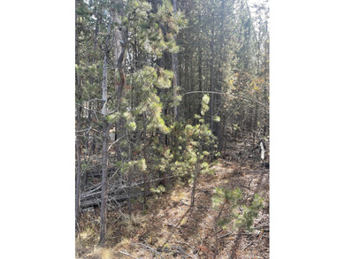 Deschutes River - Deschutes County Lot Sale Pending in Bend Oregon