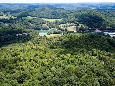 Introducing Lot 8 by Norris Lake in Union County, Tennessee: - photo 7