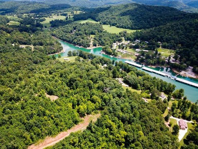 Introducing Lot 8 by Norris Lake in Union County, Tennessee: - photo 10