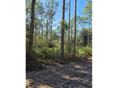 Ready to build your dream home? Come check out this great lot in - photo 2
