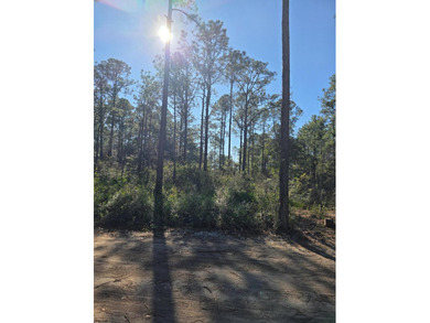 Ready to build your dream home? Come check out this great lot in - photo 3