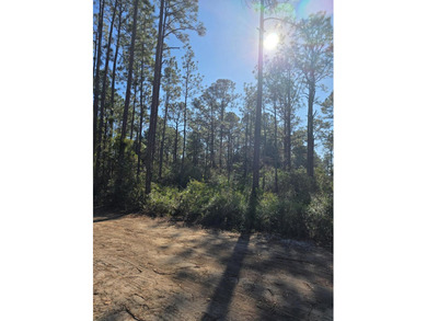 Ready to build your dream home? Come check out this great lot in - photo 4