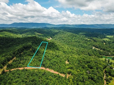 Introducing Lot 9 by Norris Lake in Union County, Tennessee: - photo 1