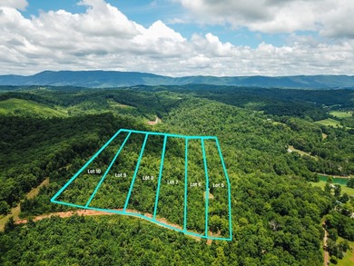 Introducing Lot 9 by Norris Lake in Union County, Tennessee: - photo 9