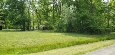 Great Home site !  - Lake Lot For Sale in Sardinia, Ohio