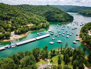 Introducing Lot 10 by Norris Lake in Union County, Tennessee: - photo 4
