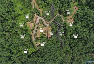 Lake Lot For Sale in Guntersville, Alabama
