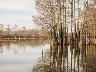 Discover this exceptional 484-acre property in the heart of the - photo 11