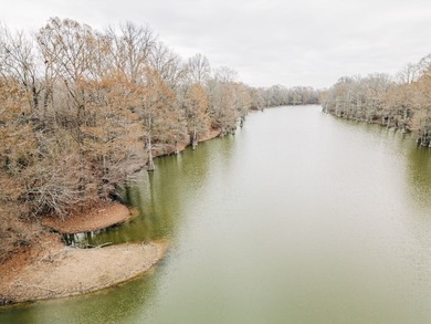 Discover this exceptional 484-acre property in the heart of the - photo 14