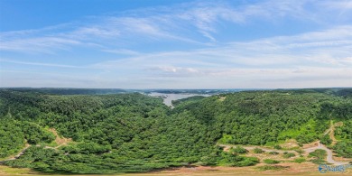 Lake Lot For Sale in Guntersville, Alabama
