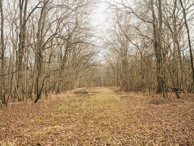 Discover this exceptional 484-acre property in the heart of the - photo 27