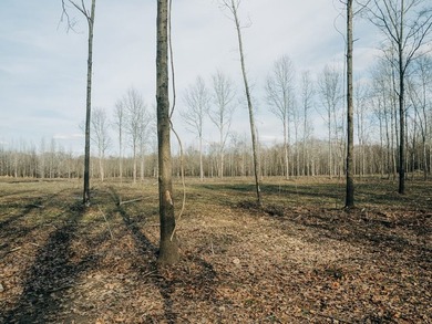 Discover this exceptional 484-acre property in the heart of the - photo 28